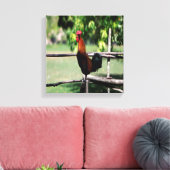 Rooster Morning Leinwanddruck (Insitu (Wohnzimmer))