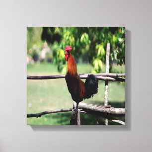 Rooster Morning Leinwanddruck
