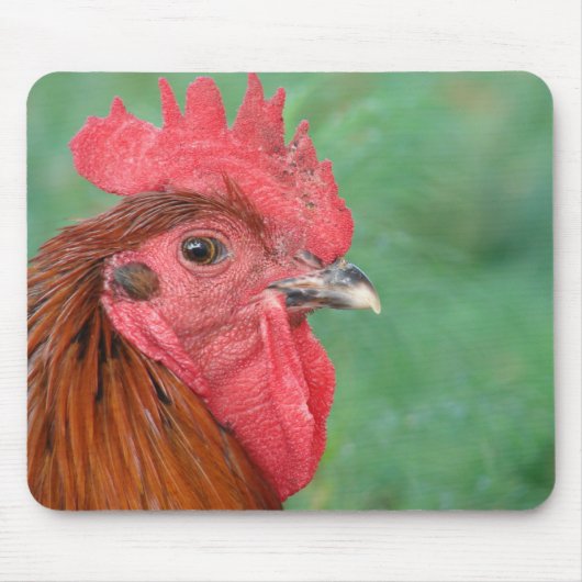 Rooster Mousepad (Vorne)