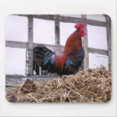 ROOSTER MOUSEPAD (Vorne)