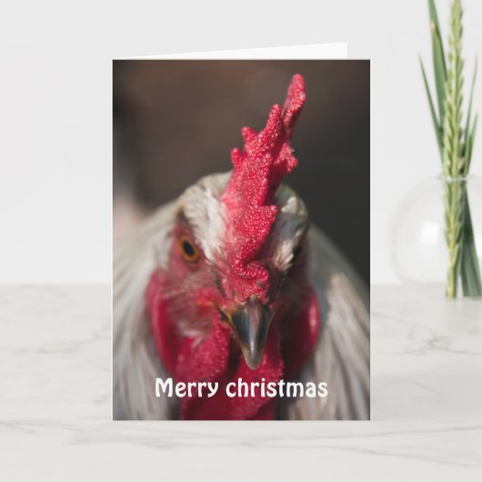 Rooster nahe Weihnachten (Vorderseite)