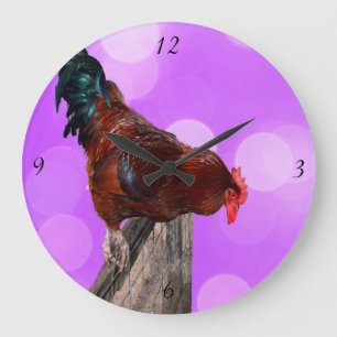 Rooster Nosy Parker, Pink Large Wall Clock. Große Wanduhr