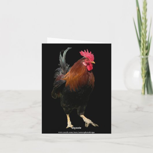 ROOSTER ON BLACK PHOTO BIRTHDAY GREETING CARD KARTE (Rückseite)