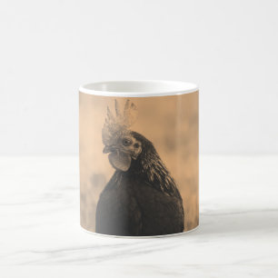 Rooster Portrait Kaffeetasse