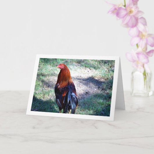 Rooster Portrait Karte (Orchidee)