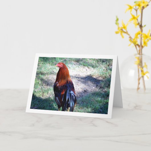 Rooster Portrait Karte (Gelbe Blume)