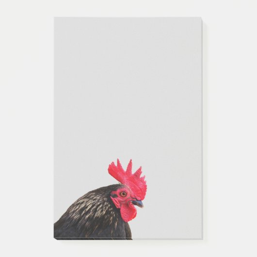 Rooster Portrait Post-it Klebezettel (Vorderseite)