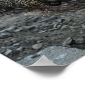 Rooster Portrait Poster (Ecke)