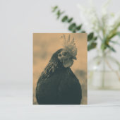 Rooster Portrait Postkarte (Stehend Vorderseite)