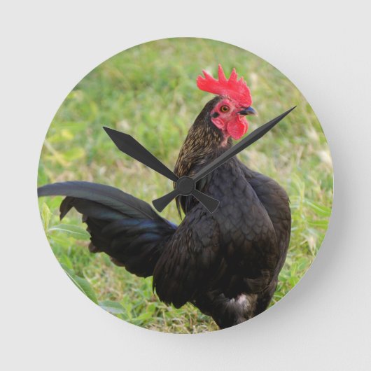Rooster Portrait Runde Wanduhr (Vorderseite)