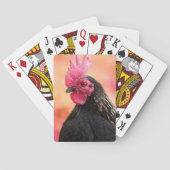 Rooster Portrait Spielkarten (Rückseite)