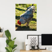 Rooster Poster (Heimbüro)