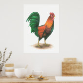 Rooster Poster (Küche)