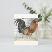 Rooster Postkarte (Stehend Vorderseite)