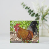 Rooster Postkarte (Stehend Vorderseite)