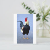 Rooster Postkarte (Stehend Vorderseite)