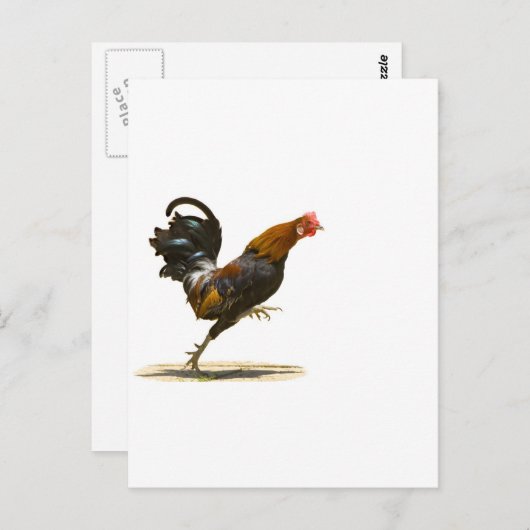 Rooster Postkarte (Vorne/Hinten)