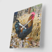 Rooster Quadratische Wanduhr (Winkel)