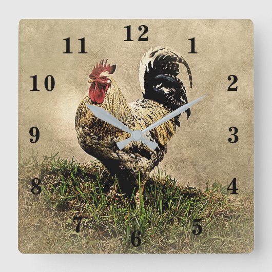 Rooster Quadratische Wanduhr (Vorderseite)