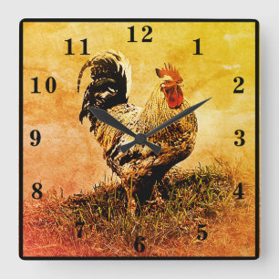 Rooster Quadratische Wanduhr
