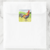 Rooster Quadratischer Aufkleber (Tasche)