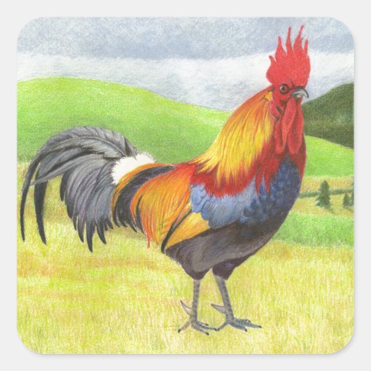 Rooster Quadratischer Aufkleber (Vorderseite)