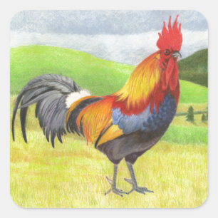 Rooster Quadratischer Aufkleber