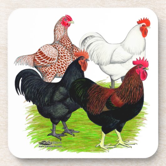 Rooster-Quartett für Heavy Rasse Getränkeuntersetzer (Vorderseite)