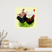 Rooster-Quartett für Heavy Rasse Poster (Küche)