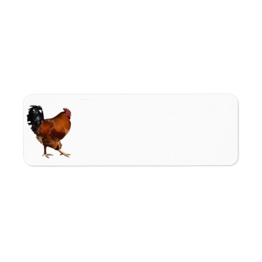 Rooster-Rückgabeadresse (Vorne)