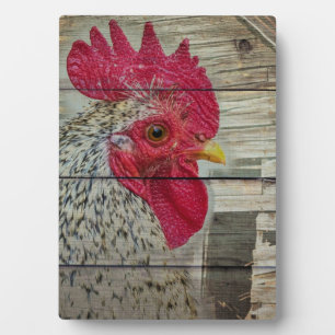 Rooster Rustic Chicken Coop Barboard Board Fotoplatte