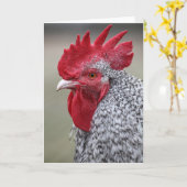 Rooster sagt Hi Karte (Gelbe Blume)