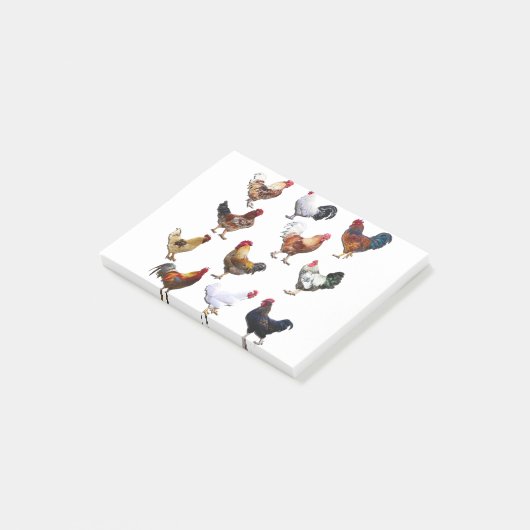 Rooster sammeln Farbhühnchen Post-it Klebezettel (angewinkelt)