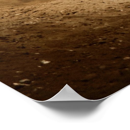 Rooster-Schwanz Poster (Ecke)