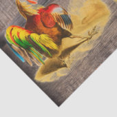 Rooster Seidenpapier (Detail)