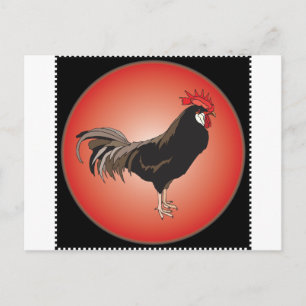 Rooster Showcase Postkarte