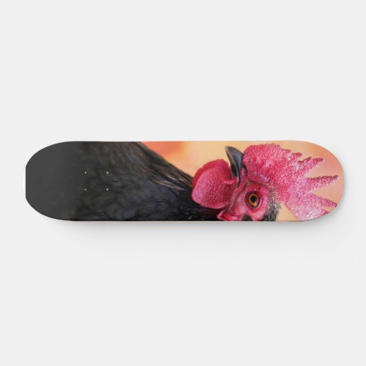 Rooster Skateboard (Horizontal)