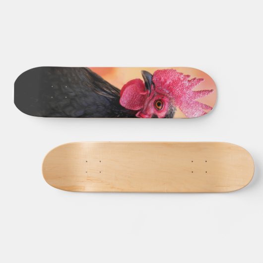 Rooster Skateboard (Horizontal)