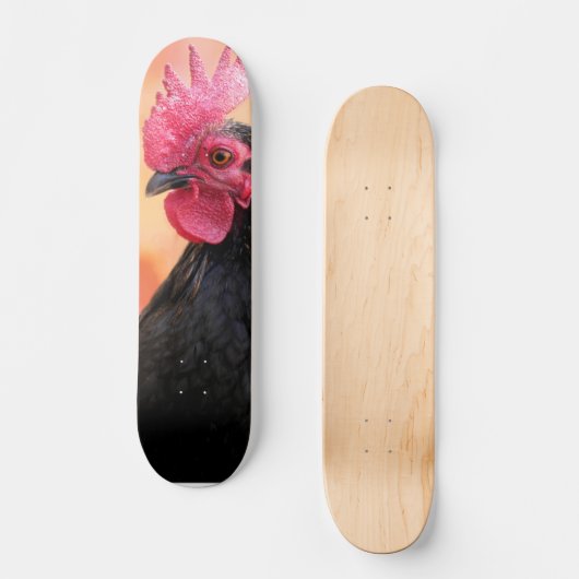 Rooster Skateboard (Vorderseite)