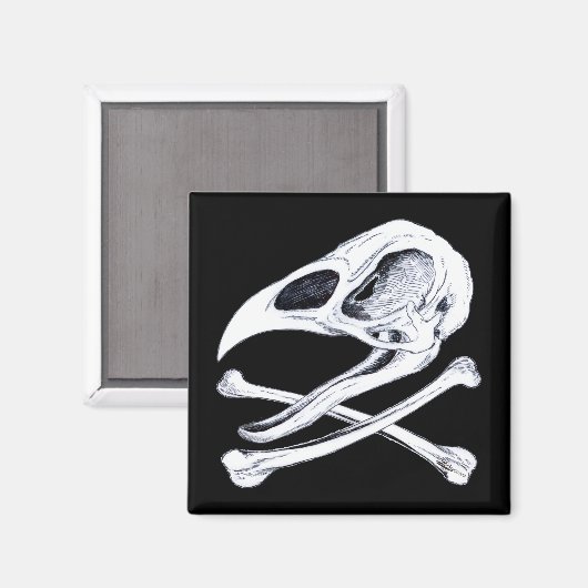 Rooster Skull und Crossbones Magnet (Vorderseite/Rückseite)