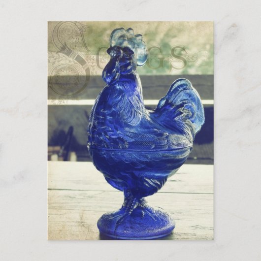 Rooster Songs Postkarte (Vorderseite)