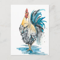 Rooster Splash - Aquarellbild