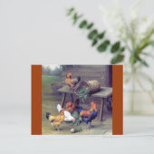 Rooster Turnip Basket Hens Postkarte (Stehend Vorderseite)