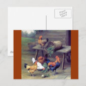 Rooster Turnip Basket Hens Postkarte (Vorne/Hinten)
