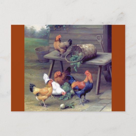 Rooster Turnip Basket Hens Postkarte (Vorderseite)