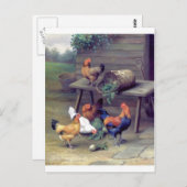 Rooster Turnip Basket Hens Postkarte (Vorne/Hinten)