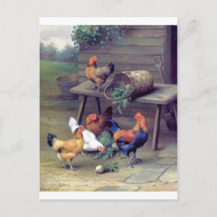 Rooster Turnip Basket Hens Postkarte
