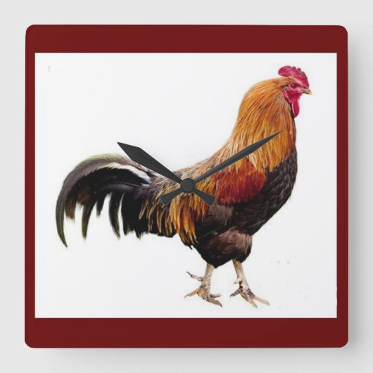 Rooster-Uhr Quadratische Wanduhr (Vorderseite)