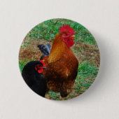 Rooster und Black Hen Button (Vorderseite)