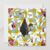Rooster und Frangipanis, Karte (Rückseite)